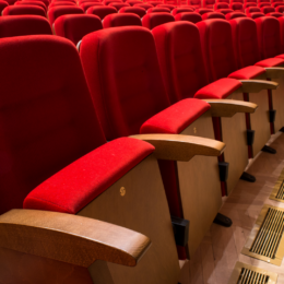 2-Theater Seating